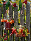 Lanterns made of jam jars with wreaths of Peperonies