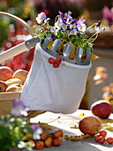 Gift for garden lovers: Fruit picker with Viola cornuta