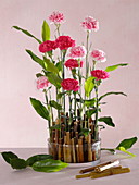 Gesteck mit Dianthus (Nelken) in Glasschale