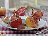 Herbstliche Serviettendeko : Apfel (Malus) mit Herz aus Schnur an Stiel gebunden und beschriebenem Blatt : 'Sinfonie im Herbst'