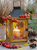 Laterne mit buntem Herbstlaub und Zieräpfeln (Malus) dekoriert