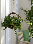 Homemade wicker basket as hanging basket