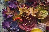 Still life with autumn leaves and berries