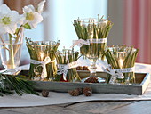 Unusual Advent wreath made of glasses decorated with pine needles