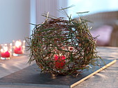 Ball of pine needles (Pinus strobus) as a lantern