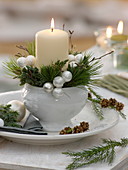 Soup cup as candlestick with white candle, Pinus, Juniperus
