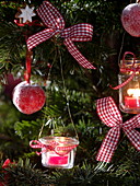 Abies nordmanniana (Nordmann fir) decorated with sugared apples