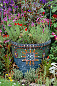 MOSAIC Container PLANTED with LAVENDER. EVENING STANDARD GARDEN. CHELSEA 1993. Designer: DANIEL PEARSON