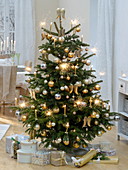 Abies (Nordmanntanne) als Weihnachtsbaum geschmückt mit goldenen Kugeln