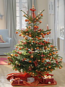Abies (Nordmanntanne) als Weihnachtsbaum geschmückt mit orangen Kugeln