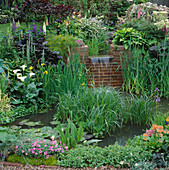Water Feature: SMALL Town Garden with WATERFALL OVER BRICK WALL INTO LILY POND SURROUNDED by MARGINALS