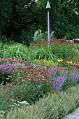 Perovskia atriplicifolia 'Blue Spire', Echinops ritro 'Veitch Blue', Echinacea purpurea 'Magnus', Monarda, Miscanthus sinensis 'Poseidon' und Eupatorium maculatum 'Atropurpureum'