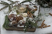 Snowy tray with pinus (pine cone, silk pine)