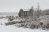 Tea house in the snowy garden, beds with perennials and apple tree (Malus)