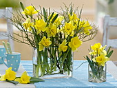 Narcissus 'Dutch Master' (Narcissus, daffodils) and Vaccinium