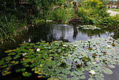 Teich mit Nymphaea alba (Seerosen), Figur auf Säule gestützt als Wasserspeier