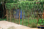 Living WILLOW TRELLIS Screen Made by Clare MATTHEWS