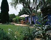 Blaues Gartenhaus mit Terrasse, Tisch, Stühlen und Sonnenschirm, Birkenstämmen, Hängematte, Karde und Kies