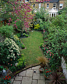 VIEW ONTO City Garden with Pink BLOSSOM of JUDAS TREE 'CERCIS SILIQUASTRUM', CHOISYA TERNATA, Tulipa 'China Pink', Red Tulipa 'COULEUR Cardinal'. DESIGN: CATHY STEWART