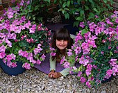 CLEMATIS WIGWAM: Nancy LOOKING OUT From INSIDE THE WIGWAM of CLEMATIS SURROUNDED by TERRACOTTA POTS PLANTED with PETUNIA 'Pastel'