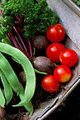 Trug gefüllt mit frisch geernteten Tomaten, Petersilie, Stangenbohnen und Roter Bete 'Wodan'