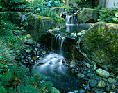 WATERFALL IN THE WOODLAND GARDEN. DESIGNERS: ILGA JANSONS AND MIKE DRYFOOS