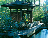 Koi-Teich und indonesische Gartenlaube im Waldgarten