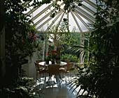 INSIDE of CONSERVATORY DESIGNED by LISETTE PLEASANCE