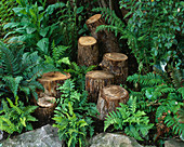 STUMPERY FOR INSECTS by Clare MATTHEWS