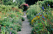 THE PRIORY, BEECH HILL, Berkshire: THE HERBACEOUS BORDER with WOODEN ARCH PLANTED with an AMERICAN PILLAR ROSE
