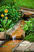 Water Feature: RILL On DIFFERENT LEVELS with Primula BESIDE. WINGWELL NURSERY, Rutland