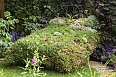 Bed planted with flowers