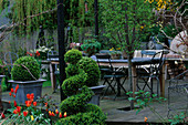 LISETTE PLEASANCE Garden, London-VIEW TO CONSERVATORY with DECKED TERRACE, LEAD TABLE AND CHAIRS