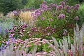 Neue Staudenrabatte mit Sedum 'Autumn Joy', Echinacea 'Rubinstern', Eupatorium, Perovskia 'Blue Spire' und Calamagrostis 'Karl Foerster'