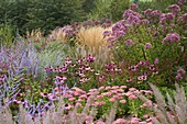 Neue Staudenrabatte mit Sedum 'Autumn Joy', Echinacea 'Rubinstern', Perovskia, Eupatorium purpureum und Calamagrostis 'Karl Foerster'
