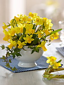 Blüten von Narcissus 'Tete-a-Tete' (Narzissen), Hedera (Efeu)