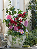 Camellia 'Kirin-No-Homare' red, 'Il-Tramonto' pink (camellias)
