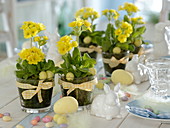 Easter table decoration with primula veris