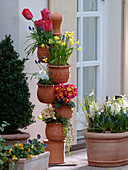 Potting tower in spring
