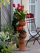 Potting tower in spring