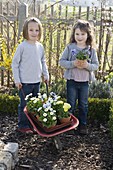 Girl in the cottage garden with Bellis (daisy) and Viola