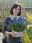 Frau hält Korb mit Muscari (Traubenhyazinthen)