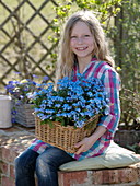 Girl holding basket with Myosotis 'Myomark' (forget-me-not)