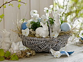 Small wicker basket as easter nest with viola cornuta, eggs