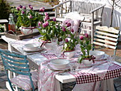 Blick auf die Frühlingsterrasse mit gedecktem Tisch