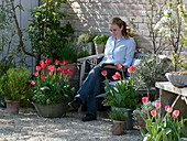 Gravel terrace with tulips, herbs and fruit trees