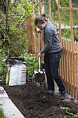 Planting a vine by the garden fence 3