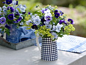 Viola wittrockiana (Pansy) and Alchemilla (Lady's Mantle)