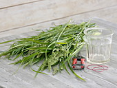 Glass covered with grass as a vase