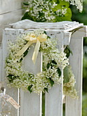 Wreath of Sambucus nigra (elderberry)